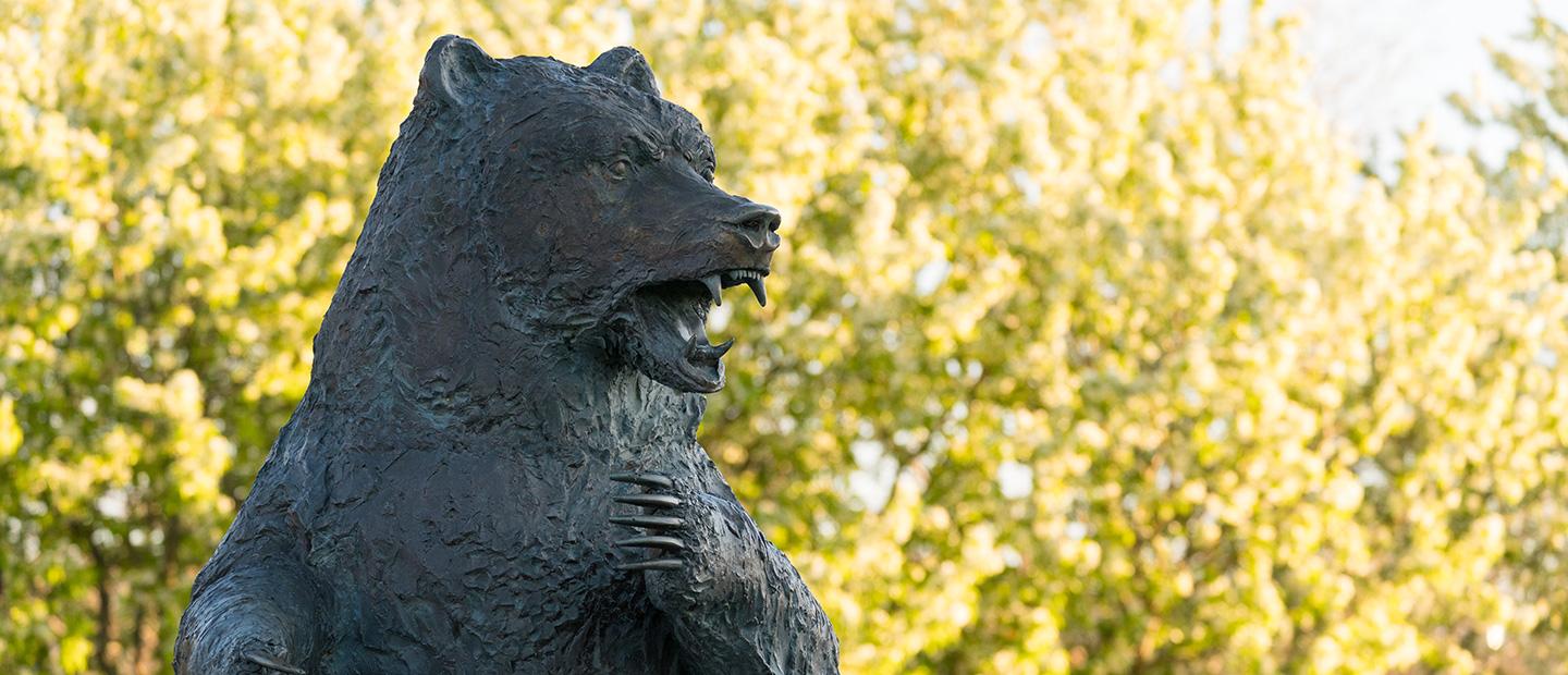 A photo of the Grizzly statue on campus.